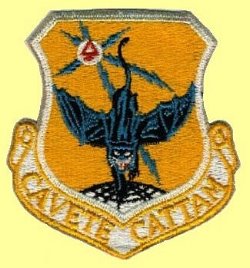 Wing Patch